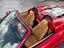 Immagine 12