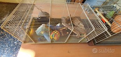 gabbie per criceti e uccelli