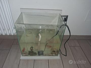 acquario+pompa