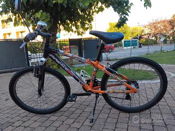 bicicletta bambini