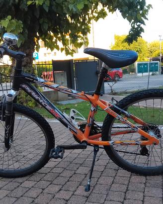 bicicletta bambini