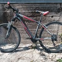 bicicletta MtB