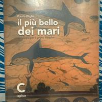Epica Il piu bello dei mari isbn 9788839526298