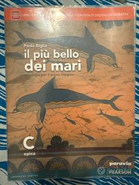 Epica Il piu bello dei mari isbn 9788839526298