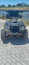 Quad kayo au300 