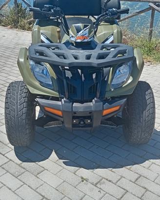 Quad kayo au300 