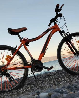 bici vortex 26 