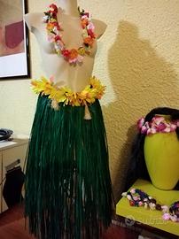 Costume da hawaiana