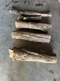 Tronchi di legno di bosso