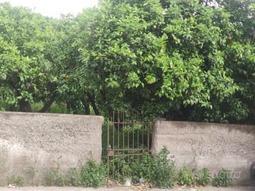 Terreno Agricolo Barcellona Pozzo di Gotto