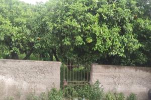 Terreno Agricolo Barcellona Pozzo di Gotto
