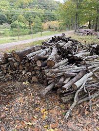 legna da ardere di pino e ontano