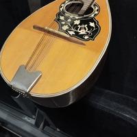 mandolino napoletano 