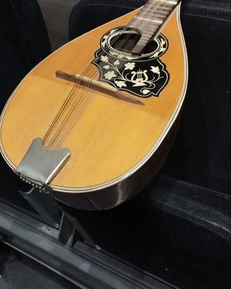 mandolino napoletano 