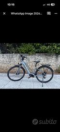 Bicicletta a pedalata assistita