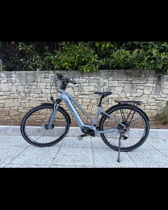 Bicicletta a pedalata assistita