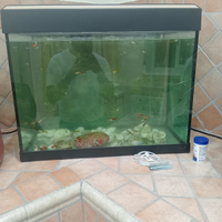 Acquario con gulpi