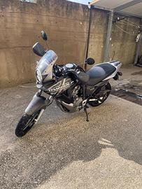 Honda transalp  700. Solo 6200 km