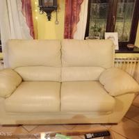Divani in pelle
