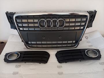 GRIGLIA AUDI A4 B8 2008-2013 GRIGLIE FENDINEBBIA