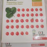 con le parole giuste