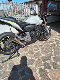 Honda hornet 600