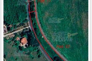 Terreno Agricolo Faleria [A4343124]