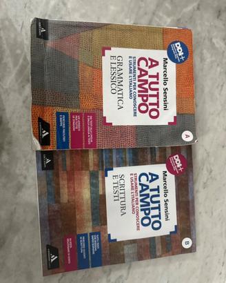 Libro a tutto campo grammatica