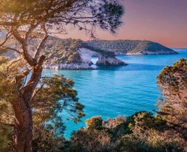 Per la Vieste in love appartamento per 4 pesone