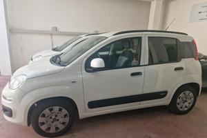 FIAT PANDA 1.2 BENZINA 09/2019