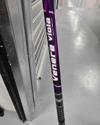 Canna Bolognese  Venere viola con mulinello 