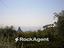 Immagine 24