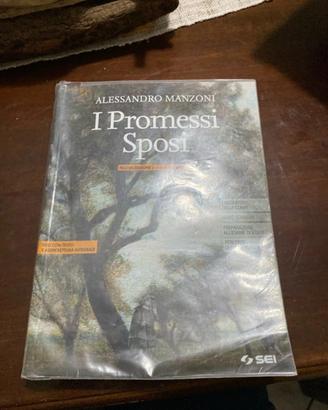 promessi sposi