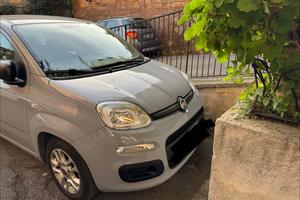 Fiat Panda Hybrid easy s&s 1.0 70 cv