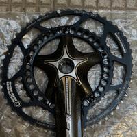 Corone ovali Rotor 53 e 39 (130 BCD)