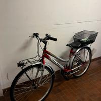 Bicicletta Silvestar