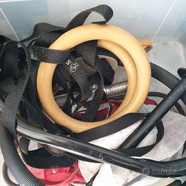 Anelli, Rings Ginnastica Lacertosus