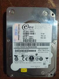 2 Hard Disk 2,5" SAS IBM 73Gb 15k rpm