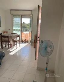 Pula Appartamento 700euro mensili