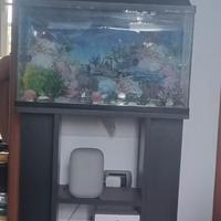 acquario 