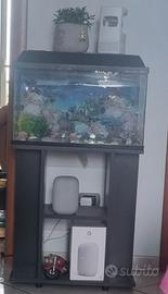 acquario 
