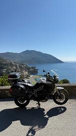 Triumph Tiger 800