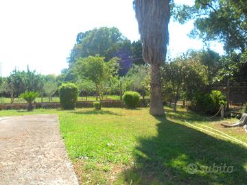 Unifamiliare bgo piave