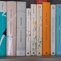Romanzi Sophie Kinsella titoli vari