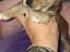Immagine 6