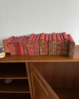 Collezione classici da biblioteca privata