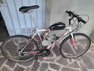 bici con motore