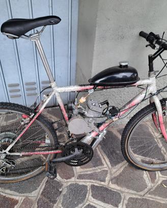 bici con motore
