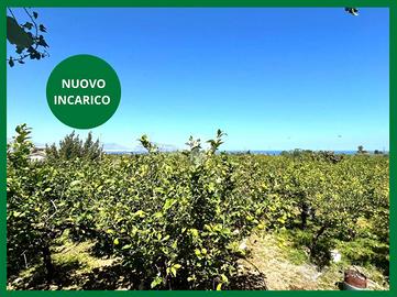TER. AGRICOLO A BAGHERIA