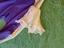 Immagine 5
